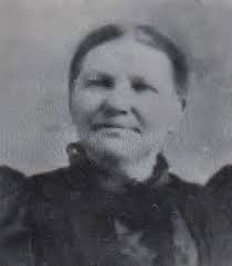 Tangled Roots and Trees: July 2013