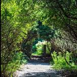 Wonder Walk @ Mass Audubon