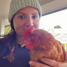 Where Pigs Fly Farm Sanctuary