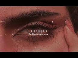 Barking is ramz' debut single that has skyrocketed in popularity due to it's catchy hook and unique flow. Ramz Barking Slowed