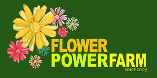Coinstar south windsor ct locations, hours, phone number, map and driving directions. It S Not Too Late To Mulch Flower Power Farm