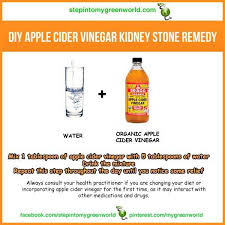 Water Acv For Kidney Stones Kidney Stones Remedy Kidney Detox Cleanse Kidney Cleanse