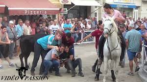 „lauf in den arenen (man muss eine schleife auf dem kopf des stieres ergattern), treiben der stiere durch die straßen, joutes, allabendliche konzerte. La Fete Votive Du Grau Du Roi Location Nature
