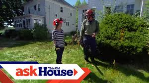 Flowering trees are a beautiful addition that bring color, wildlife, and shade to your yard. How To Remove Overgrown Foundation Shrubs Ask This Old House Youtube