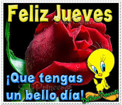 Gracias por su visita y preferencia!! Piolin Alnomi74 Twitter