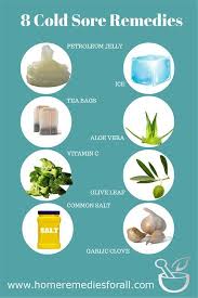 8 Cold Sore Remedies Cold Sores Remedies Home Remedies Cold Sores Canker Sore