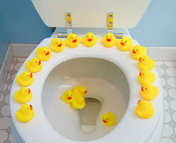 How do i repair a scratched toilet bowl? How To Get Toys And Other Objects Out Of The Toilet Lindstrom Air Conditioning Plumbing