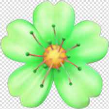 Green Leaf Emoji Flower Rose Flower Crown Pink Cherry Blossom Pink Flowers Transparent Background Png Clipart Hiclipart It is the more realistic version of the same 🌼 blossom depicted by 💮 white flower emoji. green leaf emoji flower rose flower