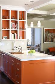 All cabinets orange on alibaba.com have utilized innovative designs to make kitchens perfect. Are You Obtaining Tired With A Neutral Colored Kitchen Area Or Pastel Colored Cooking Area After T Orange Kitchen Decor Interior Design Kitchen Kitchen Colors