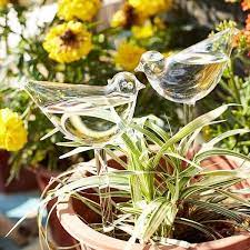 2 Pcs Self Watering Plant Glass Bulbs Self Watering Plants Self Watering Plants