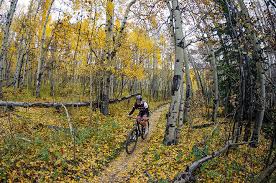 After exchanging some cordial introductions with other villagers, tom nook and the twins will set you up with your very own tent and some simple diy recipes. Singletrack Springs How To Hit All The Mountain Bike Trails Springs Magazine