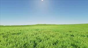 We did not find results for: Fortnite Grass Background Hd Fortnite Free Link