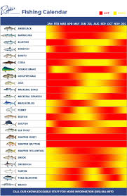 fishing calendar in islamorada at robbies robbies of