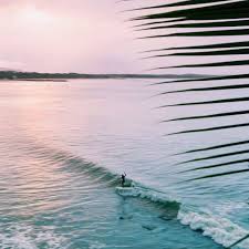 Incredible Capture Of Noosa Surfing By Letmesea Check Out Her New Online Store For More Epic Photography Of Noosa Surfing Noosa Australia Surfing Photography