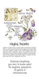 Pin On Witchy Things