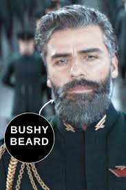 All Oscar Isaac Beard Styles (Visual Gallery)