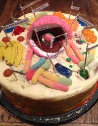 They might store food or any variety of nutrients a cell needs to survive! 9 Edible Cell Ideas Edible Cell Edible Cell Project Cells Project