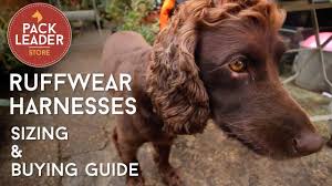 product guide and review for the ruffwear harness pack leader dog adventures