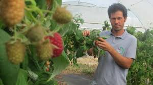 Les Jardins De La Frolle Ont La Peche