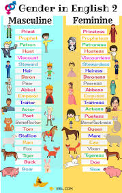 Gender Of Nouns Useful Masculine And Feminine List Apprendre L Anglais Vocabulaire Anglais Et Phrases En Anglais