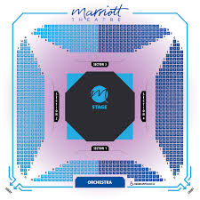 65 Timeless New Theatre Seating Chart
