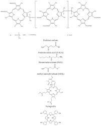 Image result for Porfimer