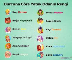 Arda Koca Adli Kullanicinin Zodiak Moda Panosundaki Pin Burclar Astroloji Ikizler