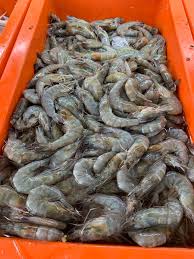 Maybe you would like to learn more about one of these? Cyberjaya Info On Twitter Warga Cyberjaya Yang Nak Dapatkan Barang Basah Segar Seperti Ikan Udang Sotong Dan Ketam Boleh Dapatkan Di Kedai Runcit Acheh Di Masreca Cyber 10 Https T Co Eckl4tauld