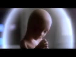2010: The Year We Make Contact | 2001: A Space Odyssey Wiki | Fandom