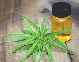 Uleiul cbd are o legătură foarte strânsă cu sistemul endocanabinoid. Kanna Cbd Romania 10 Photos Health Beauty