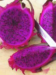 The high sunlight is not convivial for the dragon frui. Dragon Fruit Cuttings Etsy In 2021 Dragon Fruit Cactus Red Dragon Fruit Dragon Fruit Plant