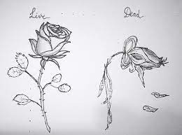 Lay out your rose in basic shapes. Step By Step Dead Rose Drawing Easy Novocom Top