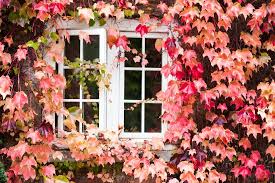 Whether you need to create privacy, conceal damage, block light or add wall space, it is. How To Cover Up Unused Exterior Windows Articles Merchantcircle