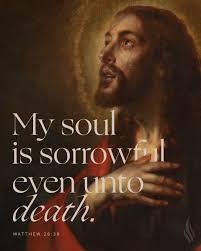 Bishop Robert Barron