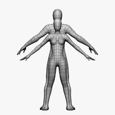 Female Male 3d Model 3d Model Low Poly Model