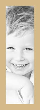 ArtToFrames Custom Autumn Gold Picture Photo Frame Mat Matting Board SM