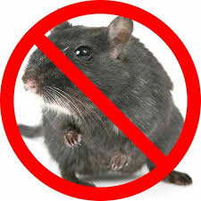 Mechanical pest control is the management and control of pests using physical means such as fences, barriers or electronic wires. Pest Control In New Mexico Pest Control Services