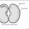 The scale of a drawing is usually presented as a ratio and is read as illustrated in the following examples. Https Encrypted Tbn0 Gstatic Com Images Q Tbn And9gcra7pyr Gxyvcb6ppknv5dh4sst Kv Rn5fnxpkwgu Usqp Cau