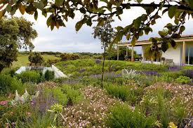 Mayo 2011 Water Wise Landscaping Beautiful Gardens Garden Landscape Design