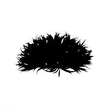 Bush Silhouette On White Background Free Image By Rawpixel Com Sasi Silhouette Images White Background Silhouette Vector