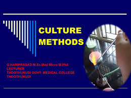 Culture has been providing informative insights into developments in microbiology since 1979—with topics what's exciting about the field right now? Culture Methods