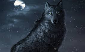 تحميل خلفيات رسمت الذئاب الذئب الأسود ليلة عريضة 1920x1200