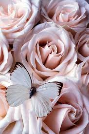 Above is another pretty vintage stock image for spring! Flowers On Twitter Butterfly Wallpaper Iphone Flower Phone Wallpaper Flower Background Wallpaper