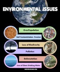 100 Best Environmental Slogans Posters And Quotes Environmental Issues Environment Sea Life Artwork