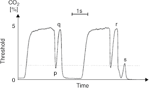 The peace of mind you're able to feel knowing that your patient is intubated safely! Carbon Dioxide Measurement Chapter 37 Capnography