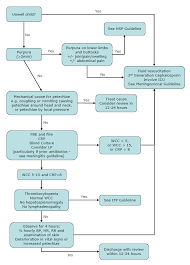 clinical practice guidelines fever and petechiae flowchart