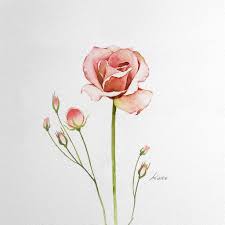 Hyacinthus)، ويقال له أيضا نبات خيري البر، ونبات ضيق الأوراق، وله أسماء أخرى منها: Ù…ØªÙØ§Ø¦Ù„ ÙØ¹Ø§Ù„ ØµØ¯Ù‰ Ø±Ø³Ù… Ø§Ø²Ù‡Ø§Ø± Alterazioni Org