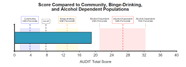 Image result for Grading Scale for Alcohol Use