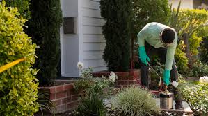 Aptive's pest control services are pretty standard in the way it is set up and priced but it will vary slightly depending on the sales representative that comes to your door. The Best Pest Control Companies In Fort Worth Tx 2021 This Old House