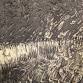 Ann Arbor Street Art Fair, The Original — Helen Gotlib
